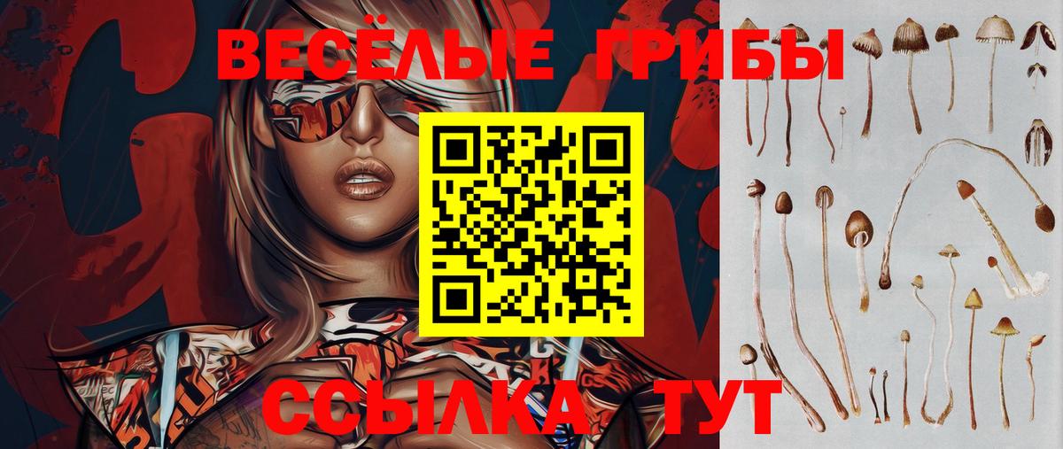 Ливны  Галлюциногенные грибы Psilocybine cubensis  Вход с VPN 