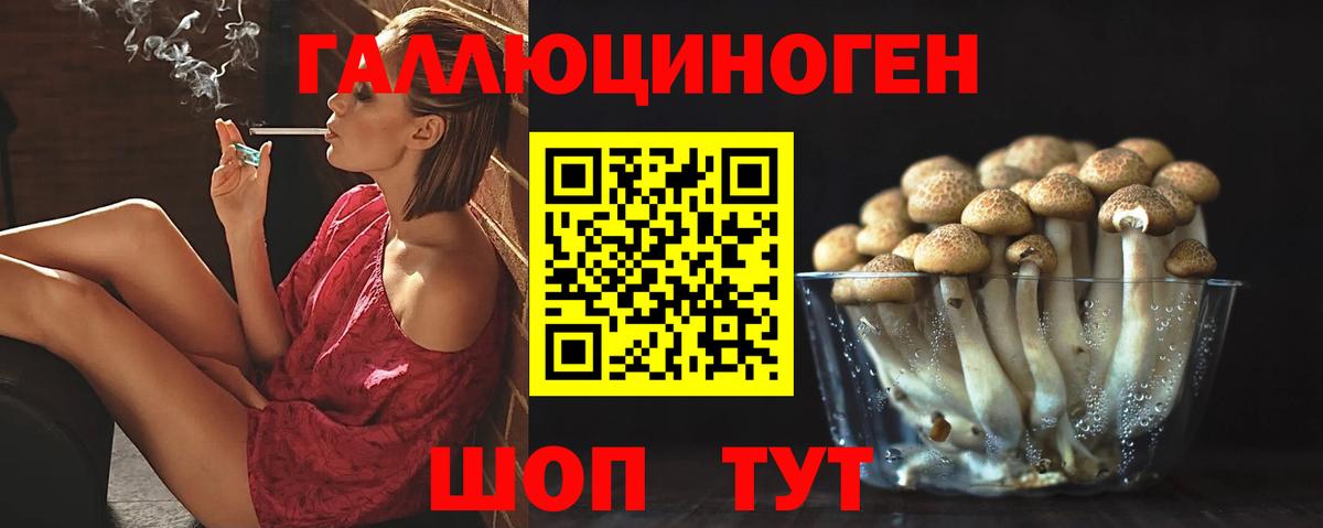 Псилоцибиновые грибы GOLDEN TEACHER Ливны
